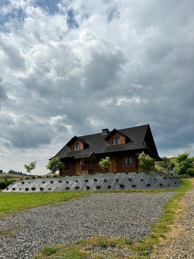 Apartment Cabanowka Hoczew